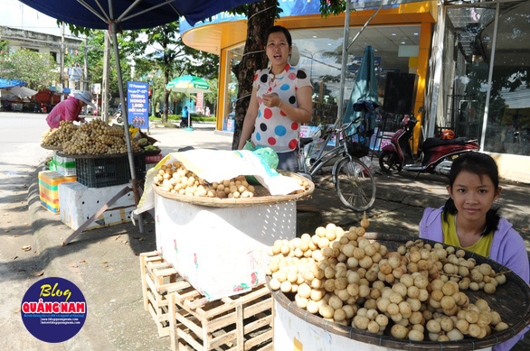 Về Tiên Phước ăn trái bòn bon - Ảnh 14.